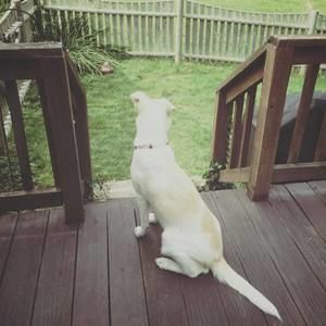 Meet your Posher, Leslie